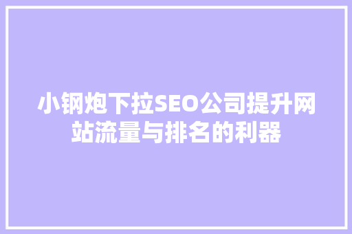 小钢炮下拉SEO公司提升网站流量与排名的利器