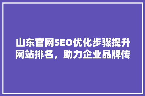 山东官网SEO优化步骤提升网站排名，助力企业品牌传播  第1张