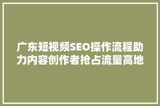 广东短视频SEO操作流程助力内容创作者抢占流量高地