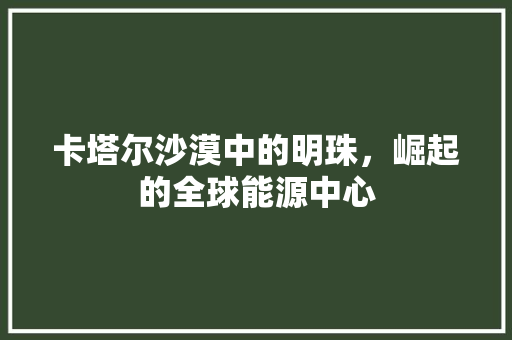 卡塔尔沙漠中的明珠，崛起的全球能源中心