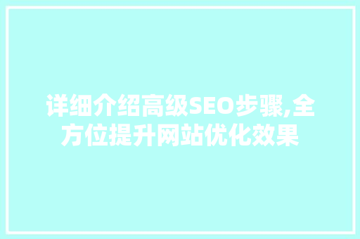 详细介绍高级SEO步骤,全方位提升网站优化效果