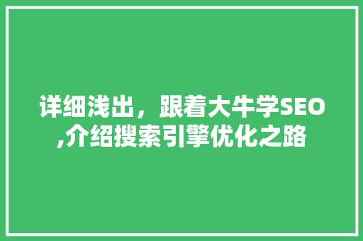 详细浅出，跟着大牛学SEO,介绍搜索引擎优化之路