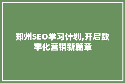 郑州SEO学习计划,开启数字化营销新篇章