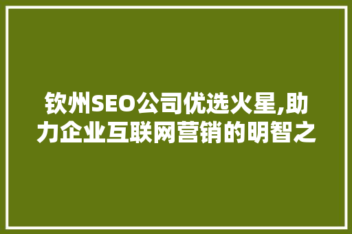 钦州SEO公司优选火星,助力企业互联网营销的明智之选