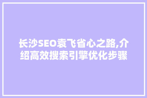 长沙SEO袁飞省心之路,介绍高效搜索引擎优化步骤