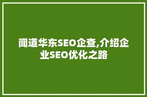 闻道华东SEO企查,介绍企业SEO优化之路