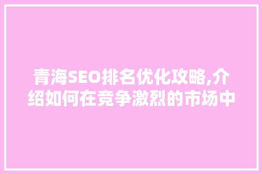 青海SEO排名优化攻略,介绍如何在竞争激烈的市场中脱颖而出