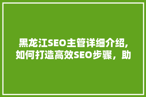 黑龙江SEO主管详细介绍,如何打造高效SEO步骤，助力企业互联网营销  第1张