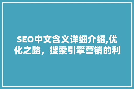 SEO中文含义详细介绍,优化之路，搜索引擎营销的利器