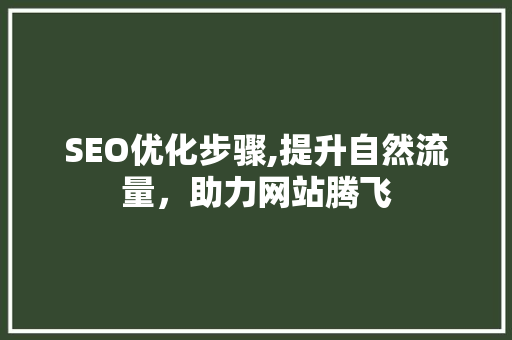 SEO优化步骤,提升自然流量，助力网站腾飞