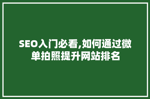 SEO入门必看,如何通过微单拍照提升网站排名