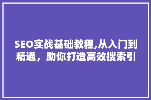 SEO实战基础教程,从入门到精通，助你打造高效搜索引擎优化步骤