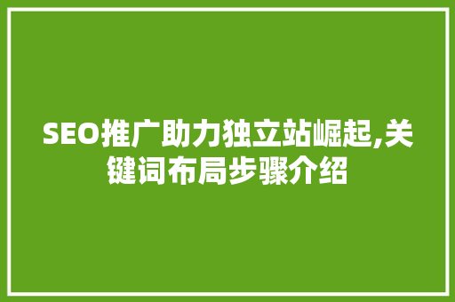 SEO推广助力独立站崛起,关键词布局步骤介绍