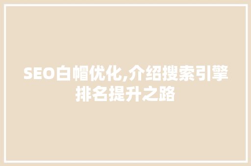 SEO白帽优化,介绍搜索引擎排名提升之路