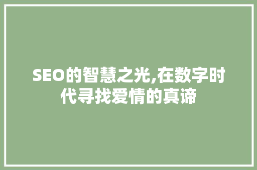 SEO的智慧之光,在数字时代寻找爱情的真谛