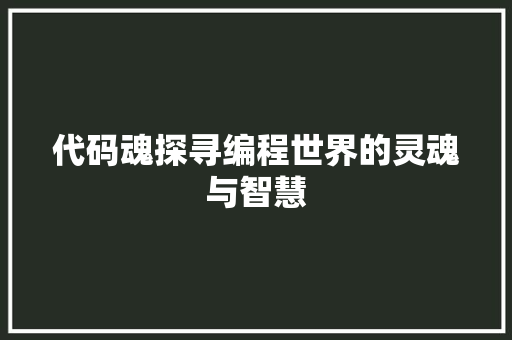 代码魂探寻编程世界的灵魂与智慧