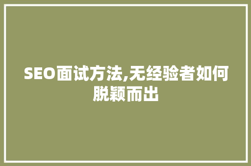 SEO面试方法,无经验者如何脱颖而出