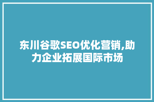 东川谷歌SEO优化营销,助力企业拓展国际市场