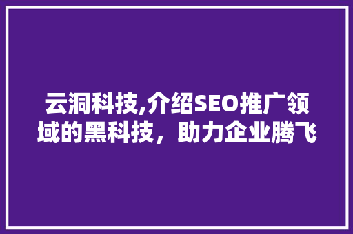 云洞科技,介绍SEO推广领域的黑科技，助力企业腾飞