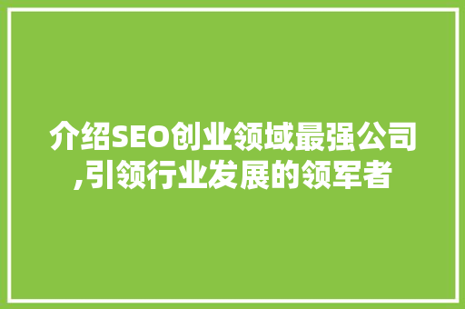 介绍SEO创业领域最强公司,引领行业发展的领军者
