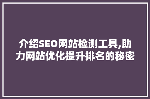 介绍SEO网站检测工具,助力网站优化提升排名的秘密武器