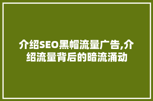 介绍SEO黑帽流量广告,介绍流量背后的暗流涌动