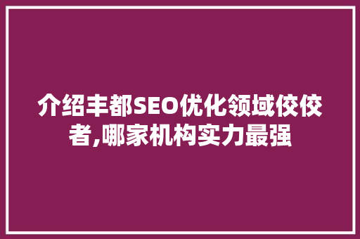 介绍丰都SEO优化领域佼佼者,哪家机构实力最强