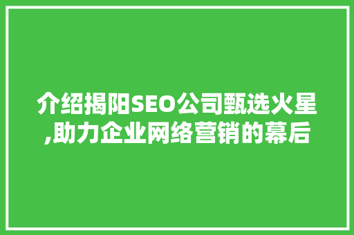 介绍揭阳SEO公司甄选火星,助力企业网络营销的幕后英雄