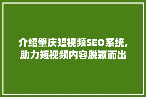 介绍肇庆短视频SEO系统,助力短视频内容脱颖而出