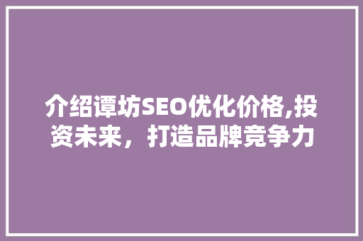 介绍谭坊SEO优化价格,投资未来，打造品牌竞争力  第1张
