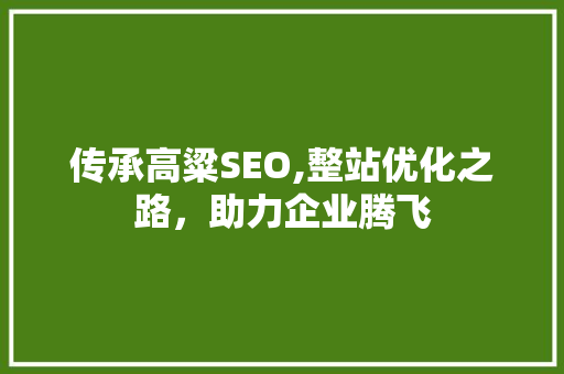 传承高粱SEO,整站优化之路，助力企业腾飞