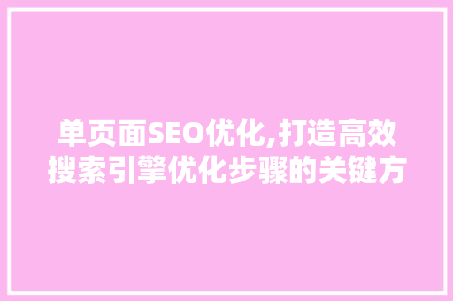 单页面SEO优化,打造高效搜索引擎优化步骤的关键方法