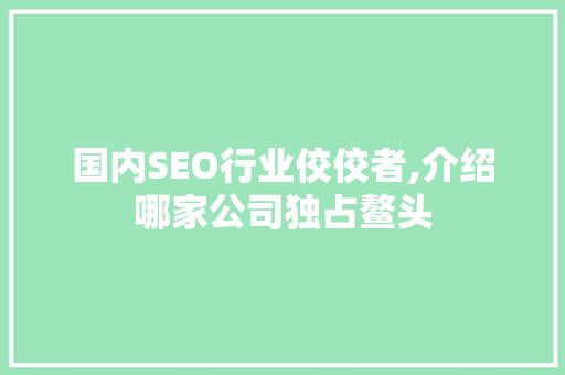 国内SEO行业佼佼者,介绍哪家公司独占鳌头