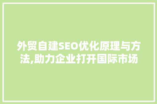外贸自建SEO优化原理与方法,助力企业打开国际市场的大门