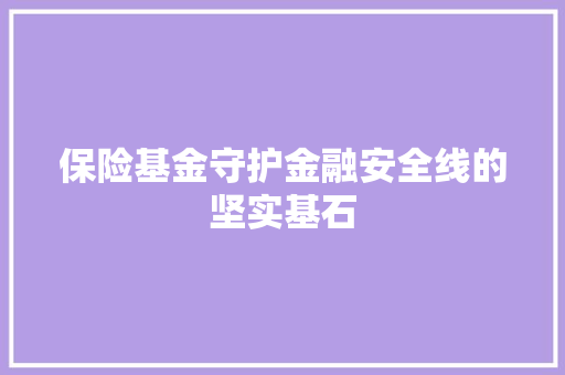 保险基金守护金融安全线的坚实基石
