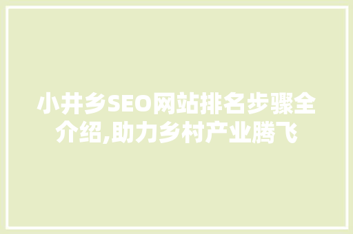小井乡SEO网站排名步骤全介绍,助力乡村产业腾飞