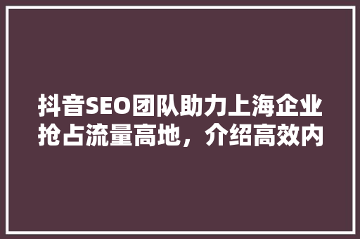 抖音SEO团队助力上海企业抢占流量高地，介绍高效内容步骤