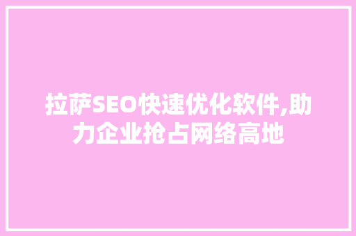 拉萨SEO快速优化软件,助力企业抢占网络高地