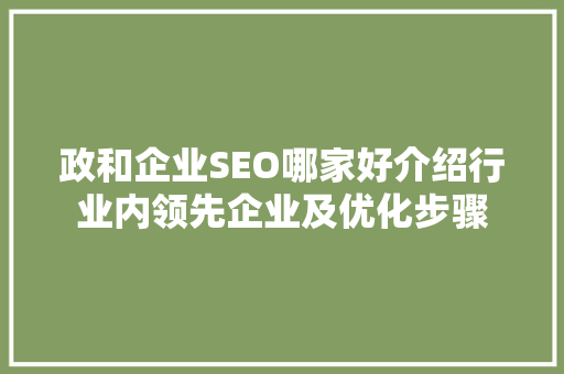 政和企业SEO哪家好介绍行业内领先企业及优化步骤
