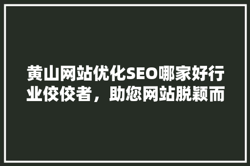 黄山网站优化SEO哪家好行业佼佼者，助您网站脱颖而出