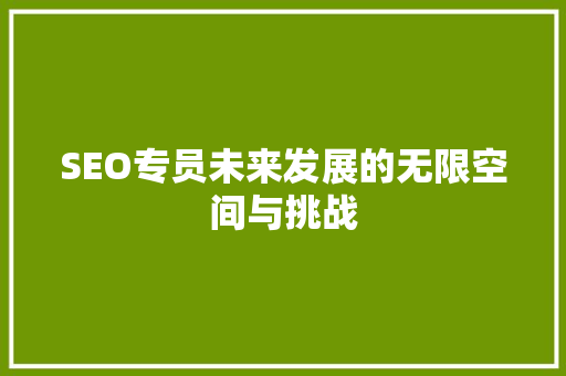 SEO专员未来发展的无限空间与挑战