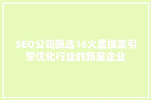 SEO公司甄选16火星搜索引擎优化行业的新星企业