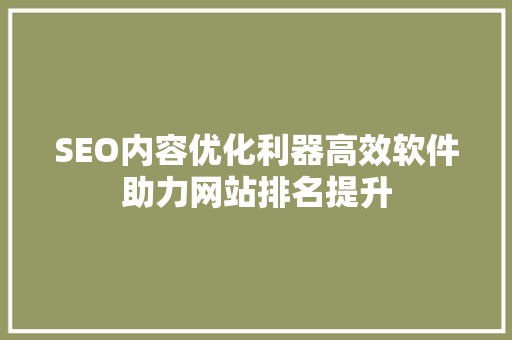 SEO内容优化利器高效软件助力网站排名提升