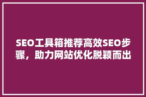 SEO工具箱推荐高效SEO步骤，助力网站优化脱颖而出