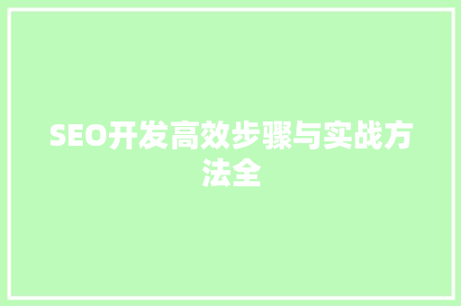 SEO开发高效步骤与实战方法全