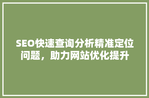 SEO快速查询分析精准定位问题，助力网站优化提升