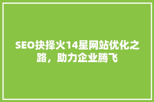 SEO抉择火14星网站优化之路，助力企业腾飞