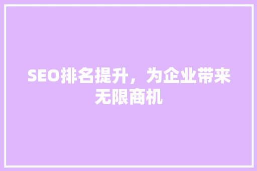 SEO排名提升，为企业带来无限商机