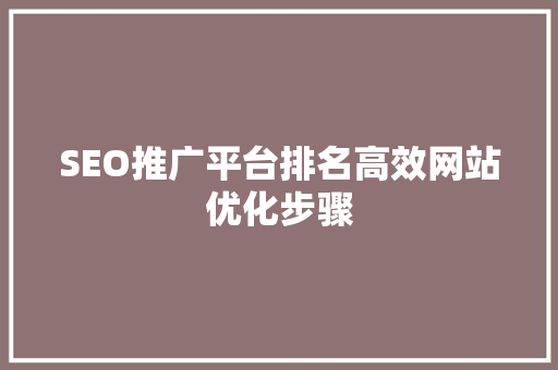 SEO推广平台排名高效网站优化步骤