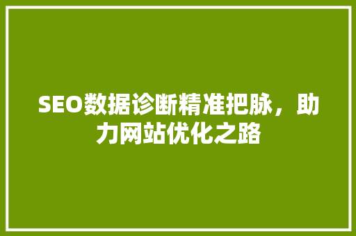 SEO数据诊断精准把脉，助力网站优化之路
